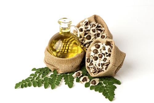 Moringa Oil